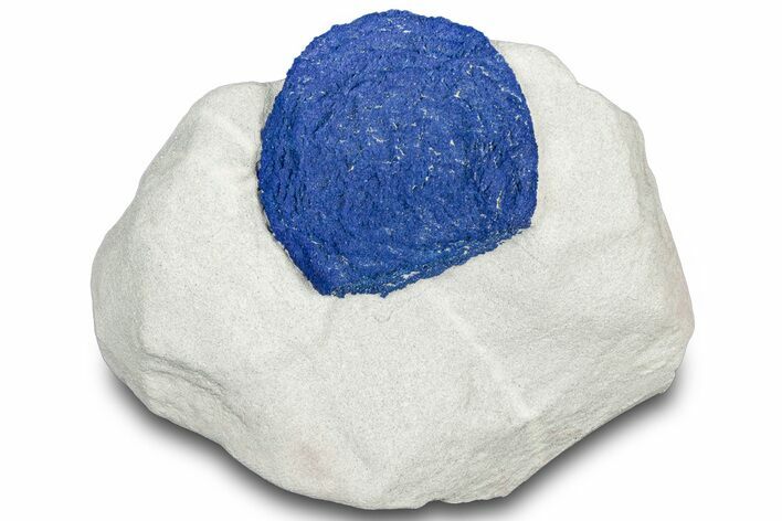 Vibrant Blue Azurite Sun on Siltstone - Australia #318780